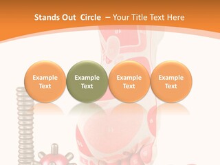 Lifestyle Leg Care PowerPoint Template