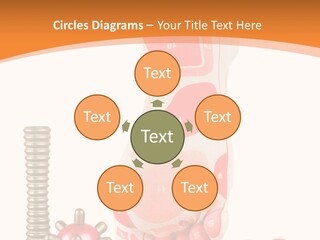 Lifestyle Leg Care PowerPoint Template