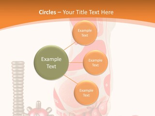 Lifestyle Leg Care PowerPoint Template