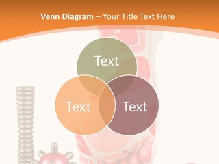 Lifestyle Leg Care PowerPoint Template