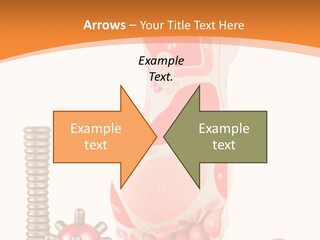 Lifestyle Leg Care PowerPoint Template