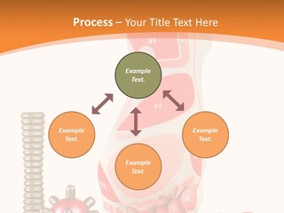 Lifestyle Leg Care PowerPoint Template