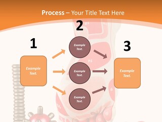 Lifestyle Leg Care PowerPoint Template