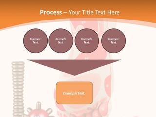 Lifestyle Leg Care PowerPoint Template