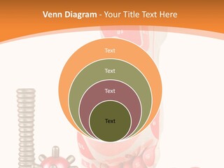 Lifestyle Leg Care PowerPoint Template