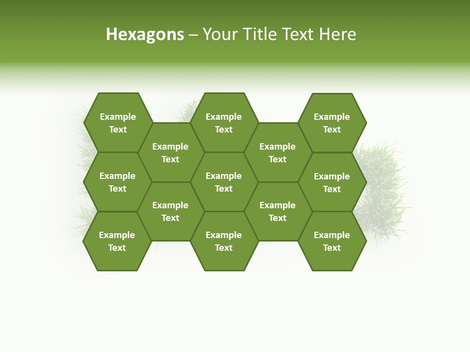 Conceptual Concept Ecology PowerPoint Template