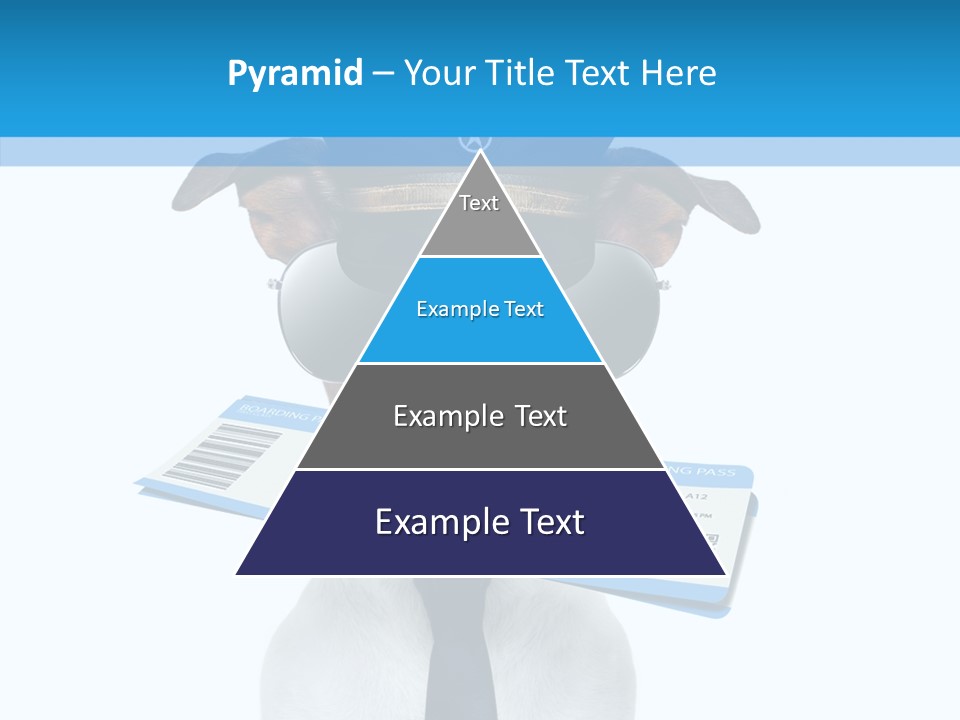 Flight Check In Minute PowerPoint Template