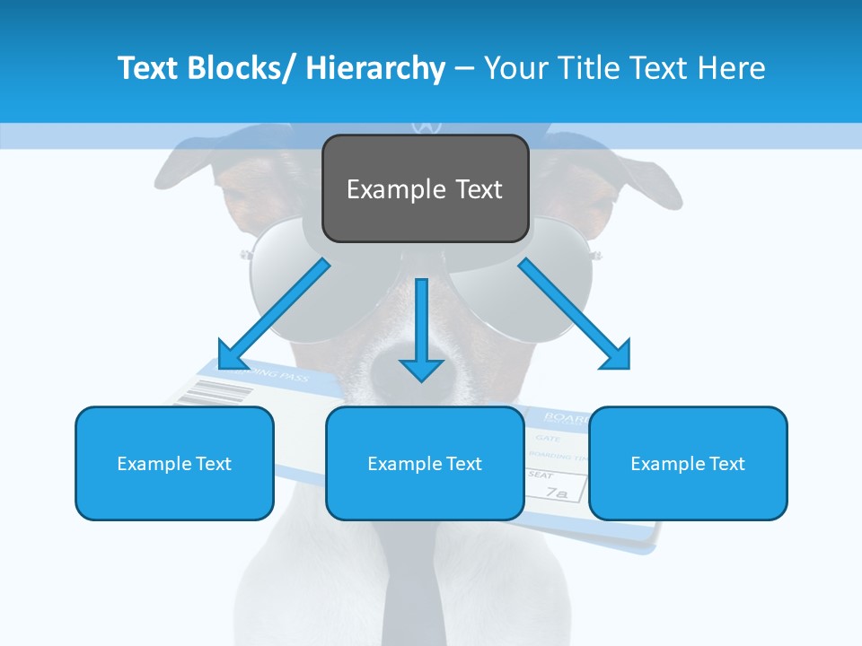 Flight Check In Minute PowerPoint Template