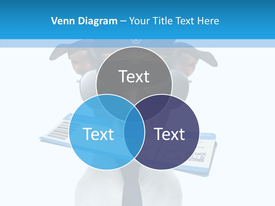Flight Check In Minute PowerPoint Template