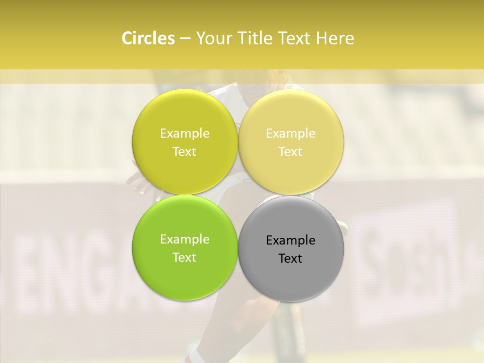 Mcalister Fly Half France PowerPoint Template