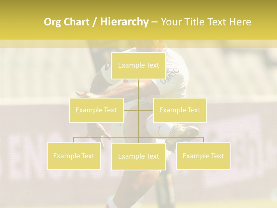 Mcalister Fly Half France PowerPoint Template