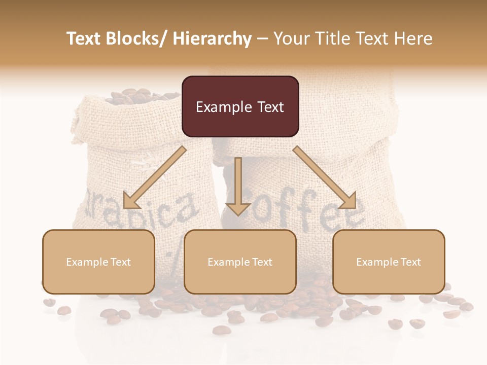 Backgrounds White Seed PowerPoint Template