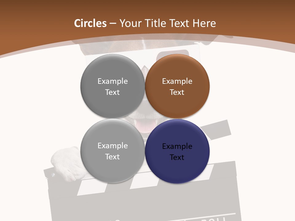 Glasses Pet Producer PowerPoint Template