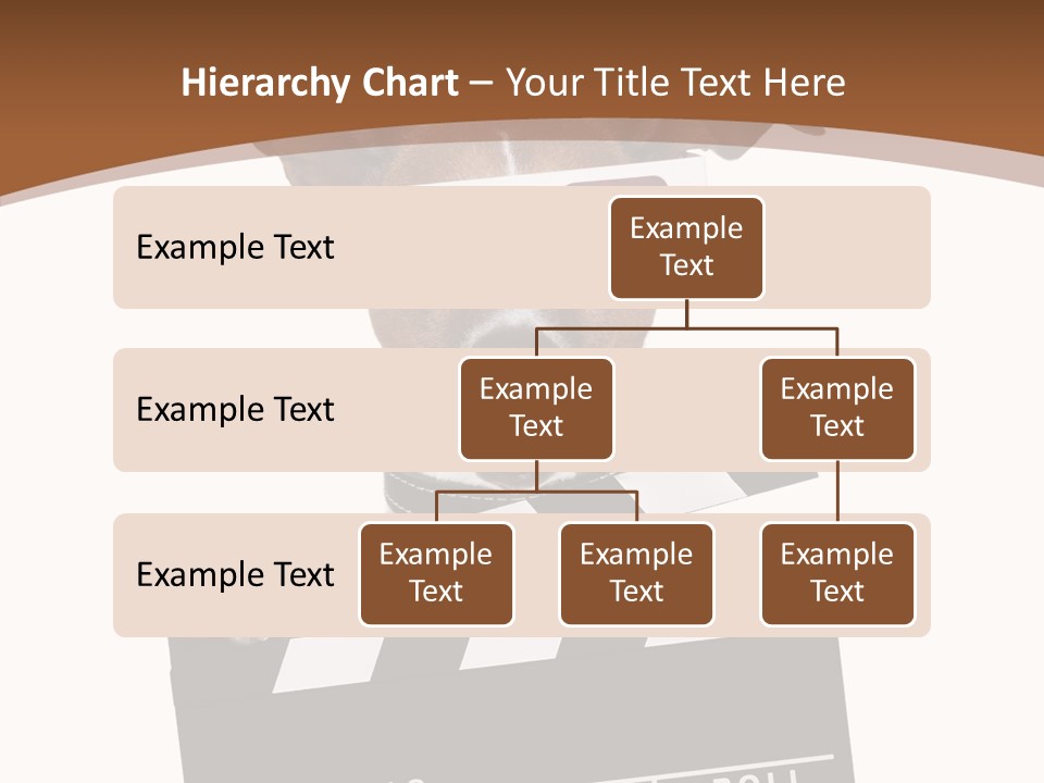 Glasses Pet Producer PowerPoint Template