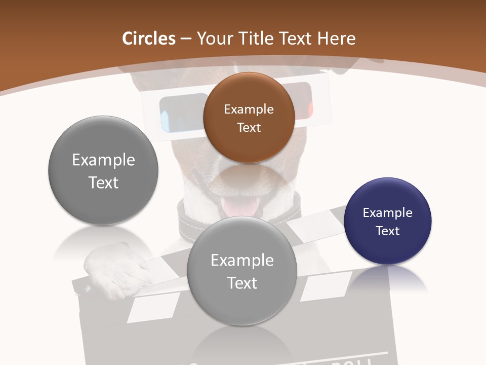 Glasses Pet Producer PowerPoint Template