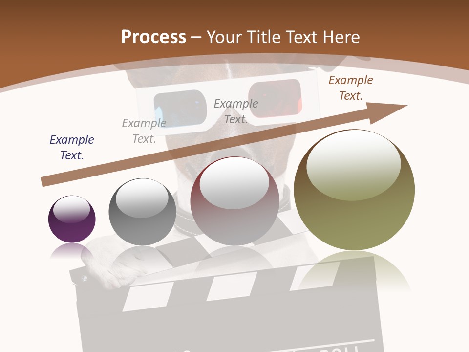 Glasses Pet Producer PowerPoint Template