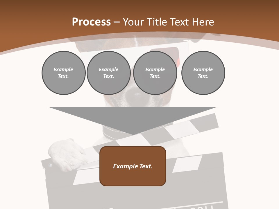 Glasses Pet Producer PowerPoint Template