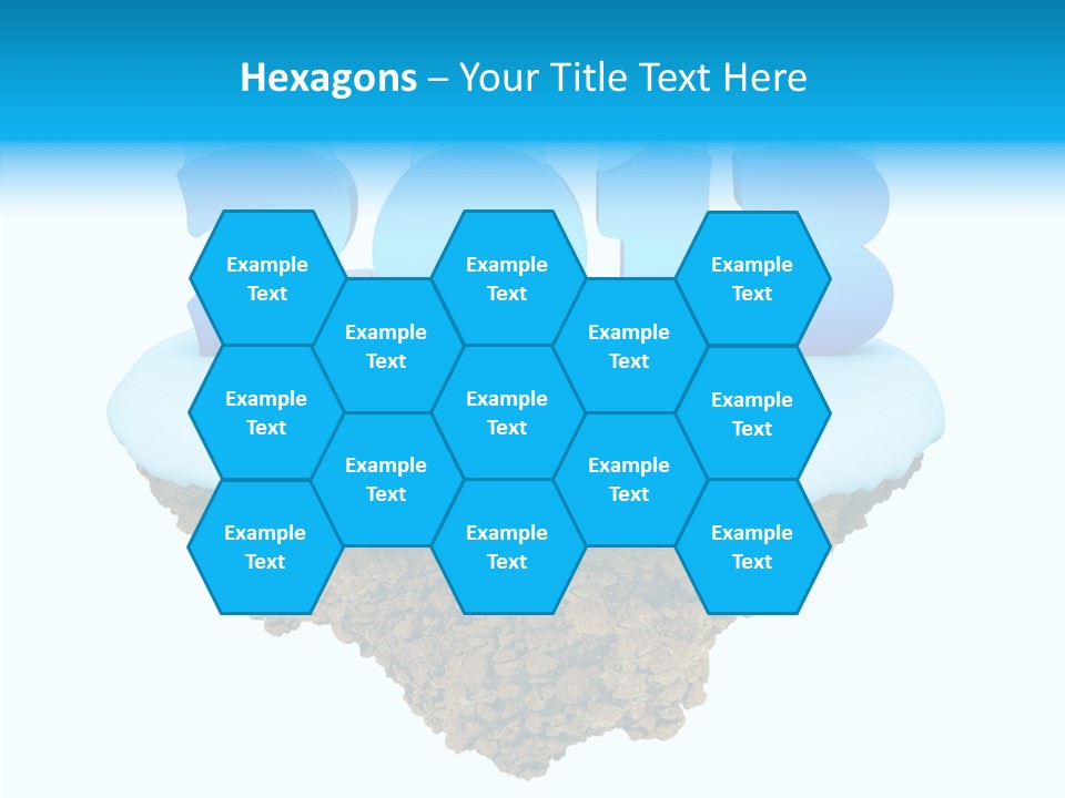 Year Little Fly PowerPoint Template