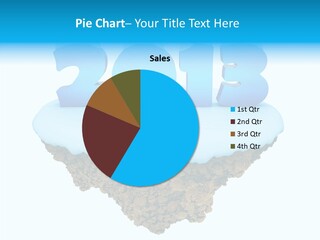 Year Little Fly PowerPoint Template