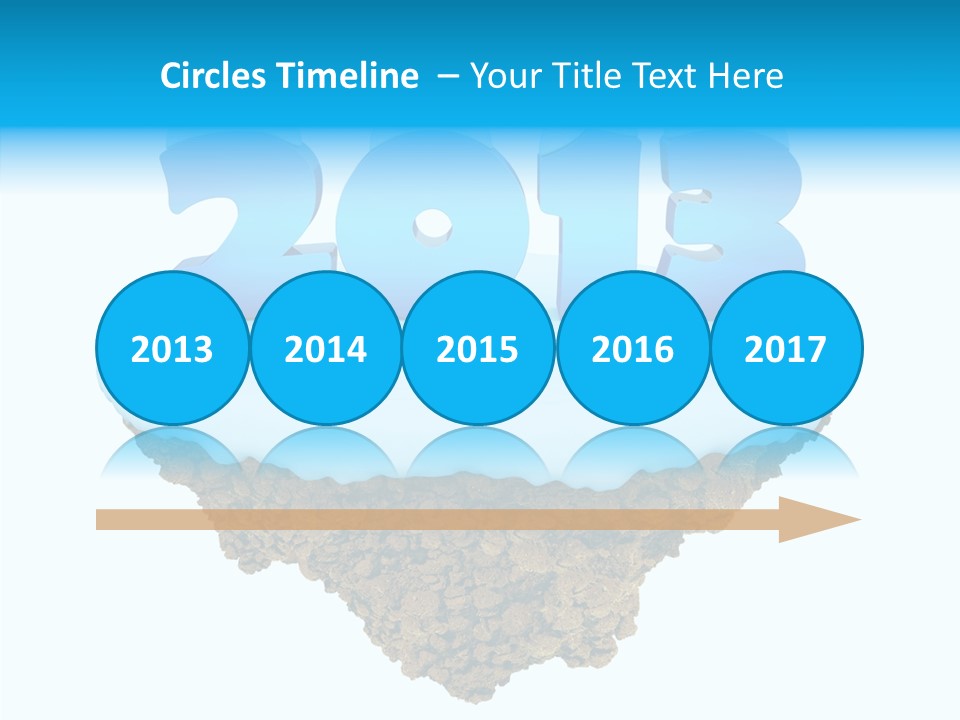 Year Little Fly PowerPoint Template