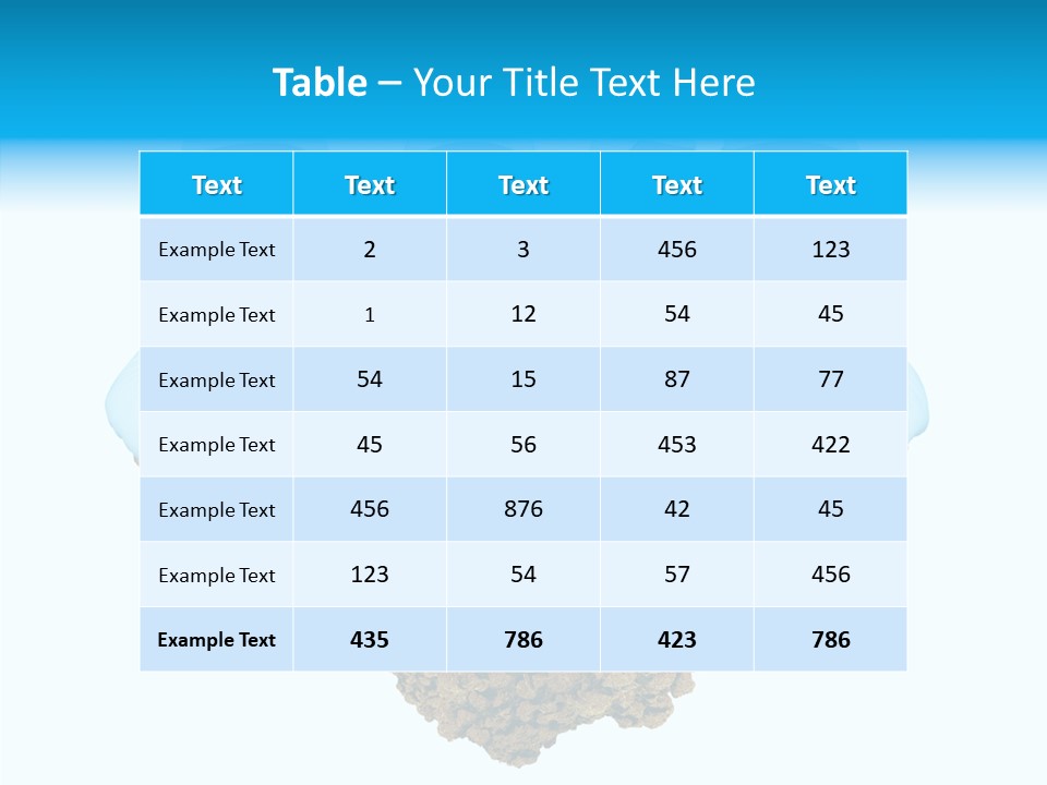 Year Little Fly PowerPoint Template