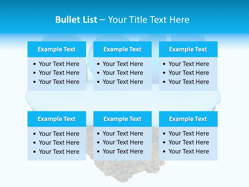Year Little Fly PowerPoint Template
