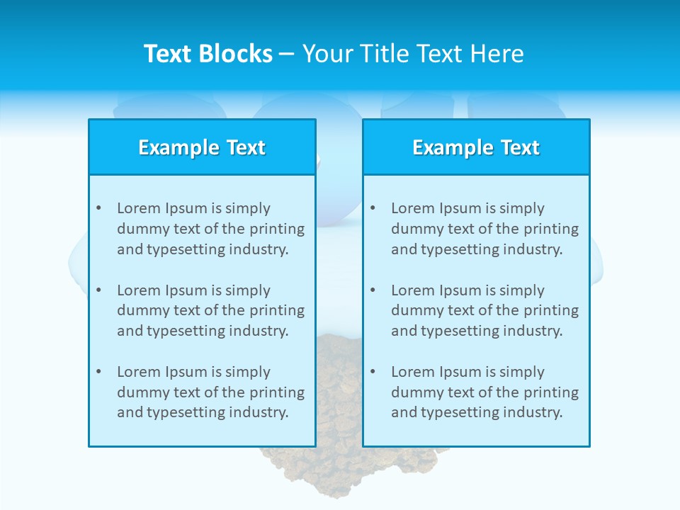 Year Little Fly PowerPoint Template