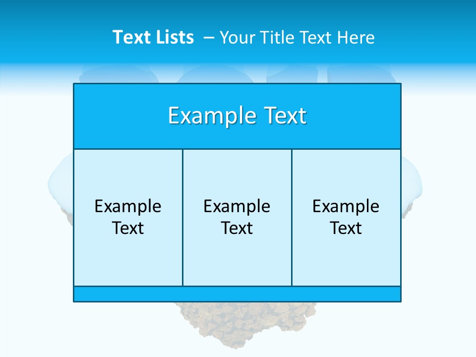 Year Little Fly PowerPoint Template