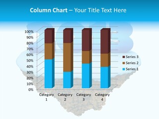 Year Little Fly PowerPoint Template