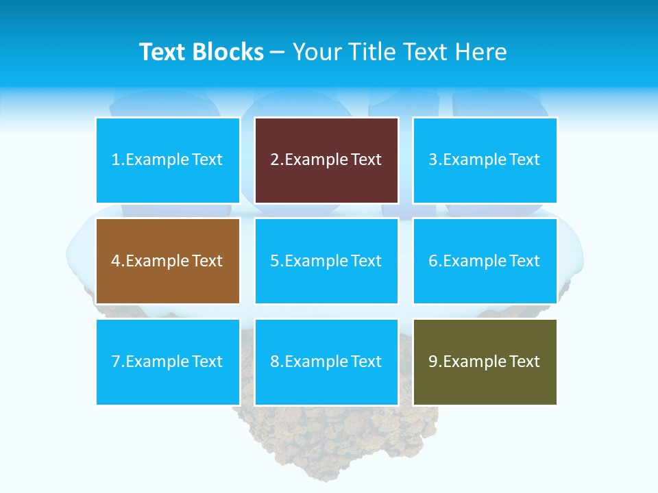 Year Little Fly PowerPoint Template