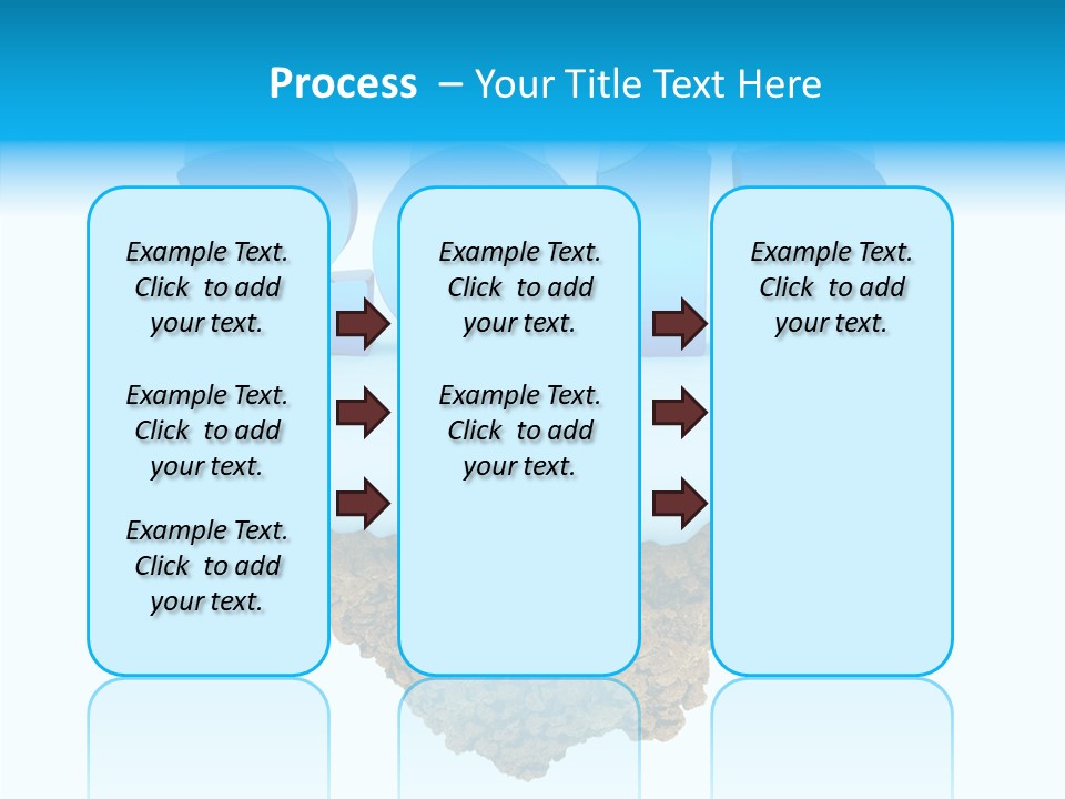 Year Little Fly PowerPoint Template