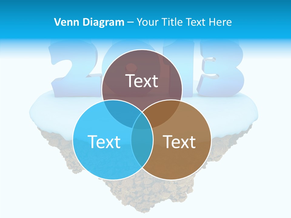 Year Little Fly PowerPoint Template