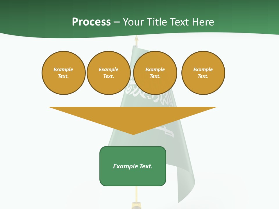 Insignia Heritage Politics PowerPoint Template