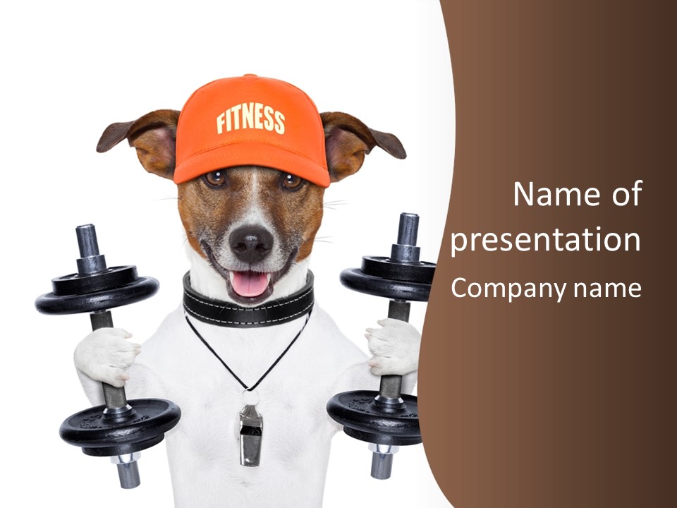 Animal Terrier Exercise PowerPoint Template