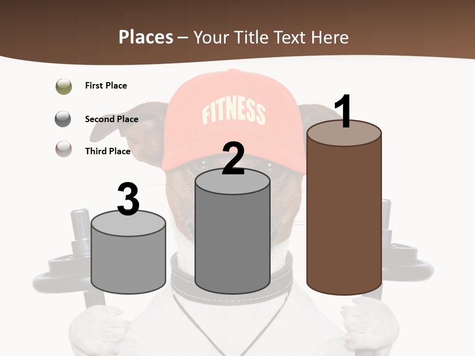 Animal Terrier Exercise PowerPoint Template