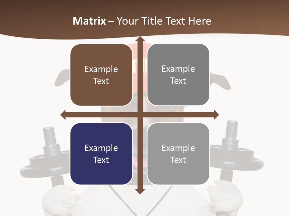 Animal Terrier Exercise PowerPoint Template