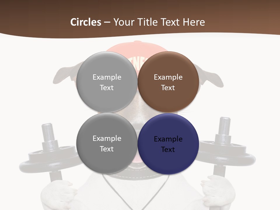 Animal Terrier Exercise PowerPoint Template