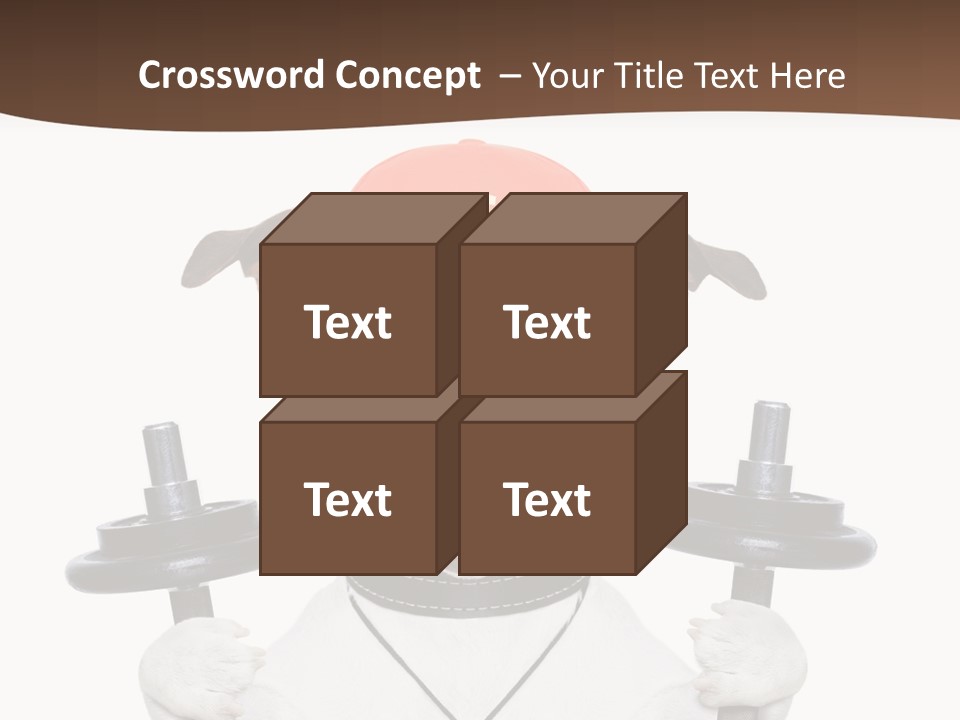 Animal Terrier Exercise PowerPoint Template