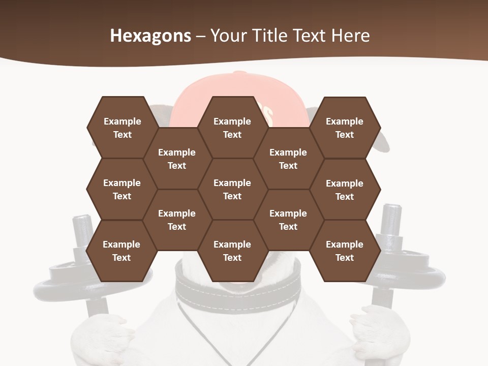 Animal Terrier Exercise PowerPoint Template