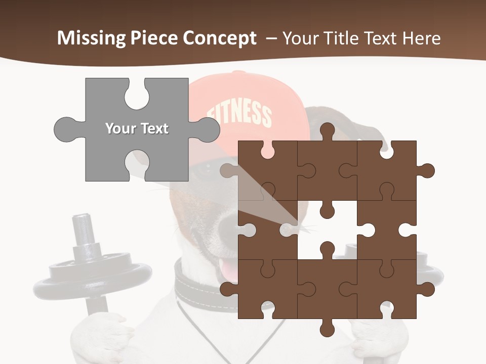 Animal Terrier Exercise PowerPoint Template