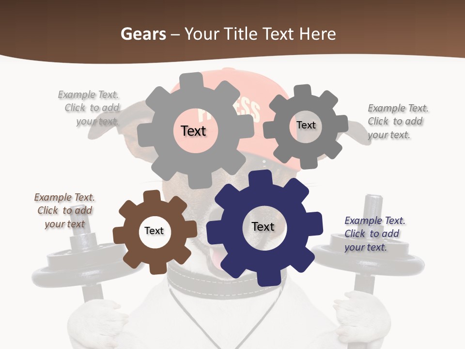 Animal Terrier Exercise PowerPoint Template