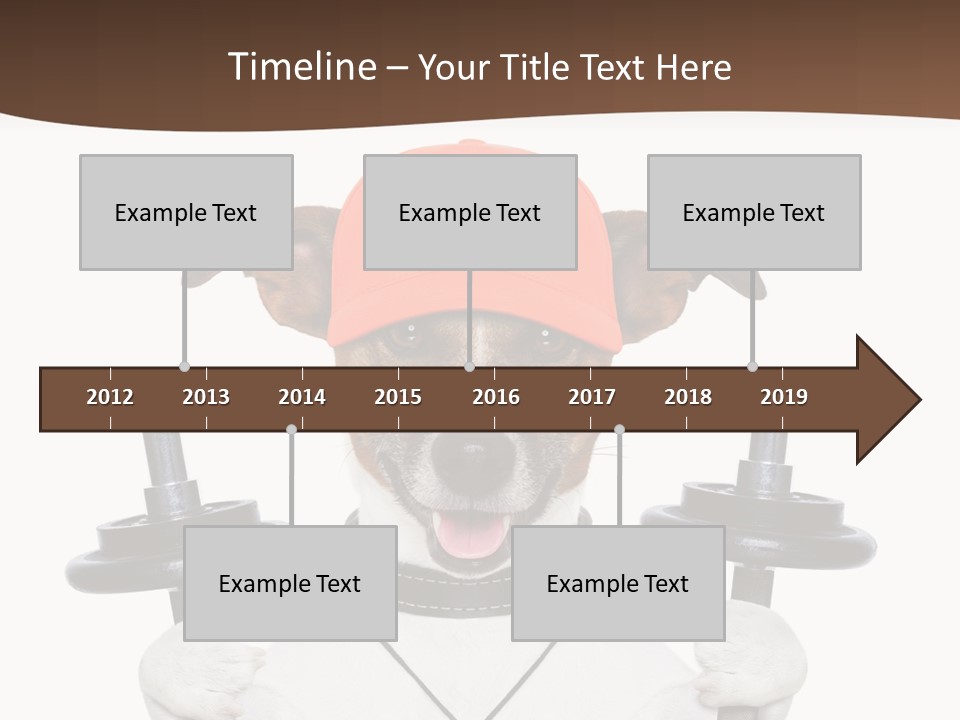 Animal Terrier Exercise PowerPoint Template