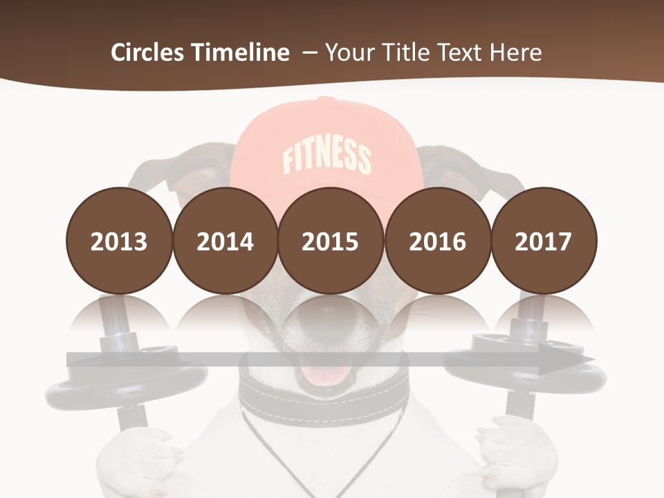 Animal Terrier Exercise PowerPoint Template