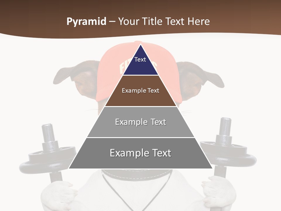 Animal Terrier Exercise PowerPoint Template