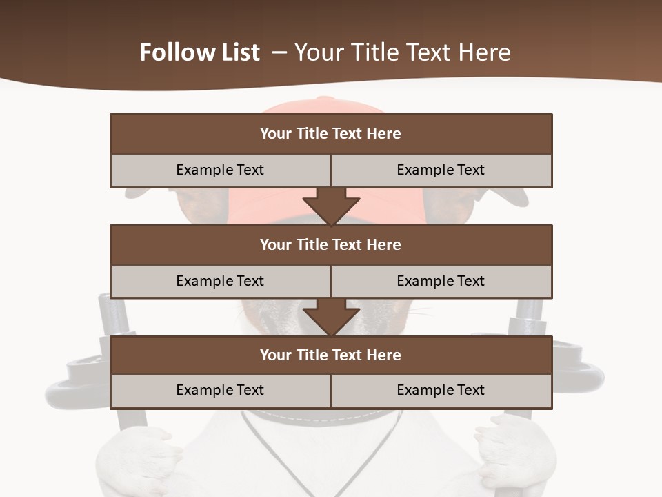 Animal Terrier Exercise PowerPoint Template
