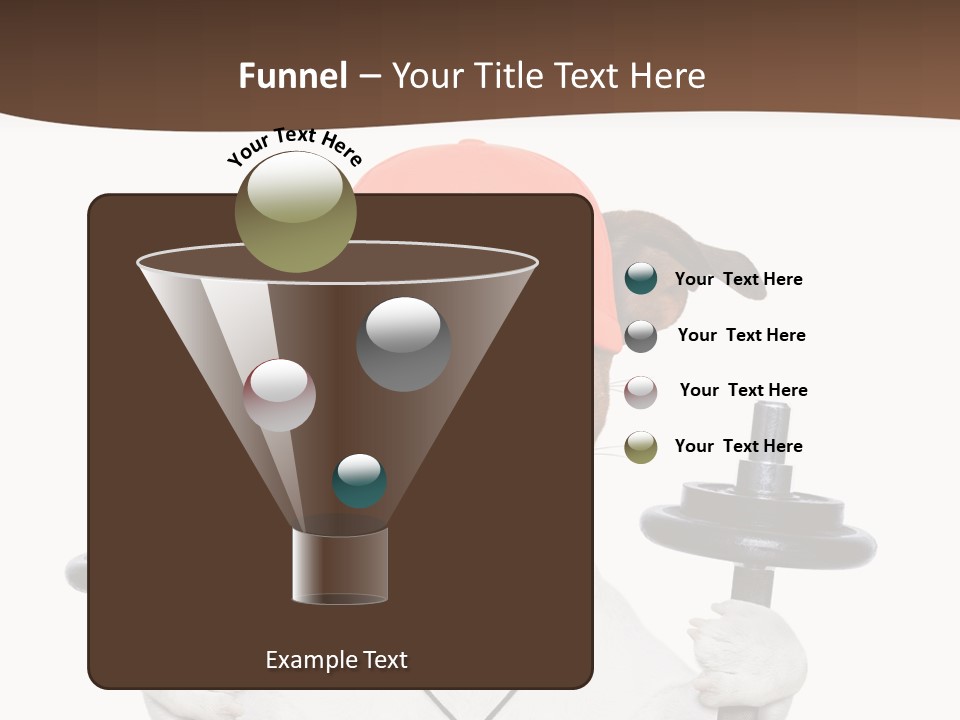 Animal Terrier Exercise PowerPoint Template