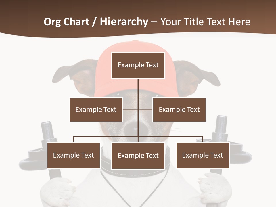 Animal Terrier Exercise PowerPoint Template