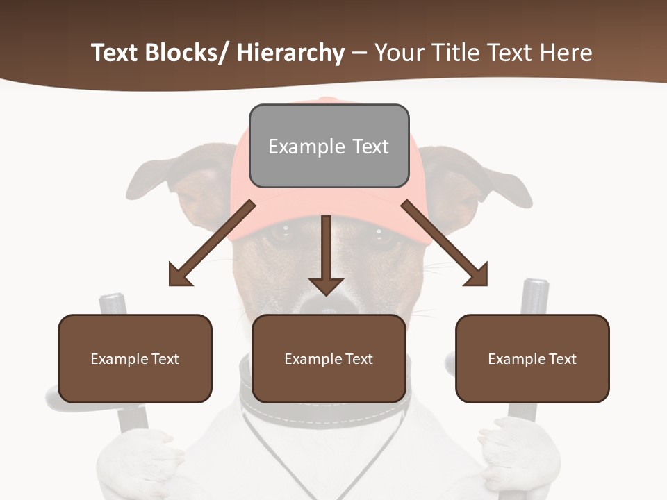 Animal Terrier Exercise PowerPoint Template