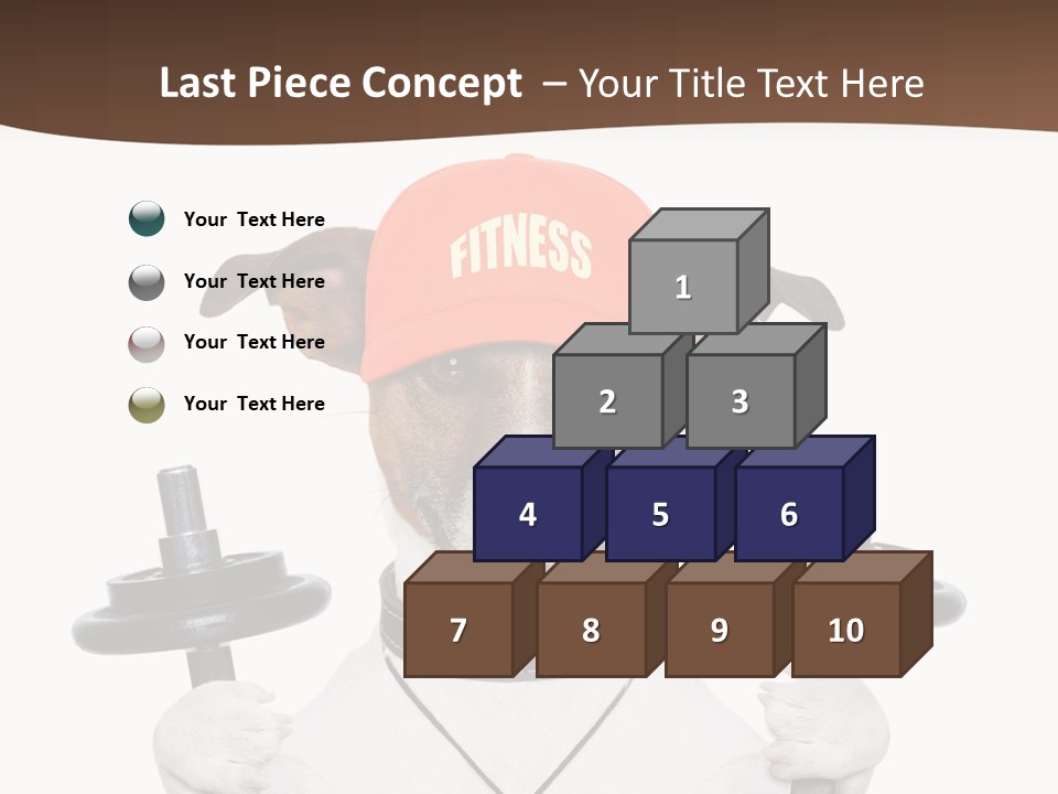 Animal Terrier Exercise PowerPoint Template