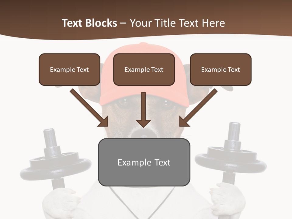 Animal Terrier Exercise PowerPoint Template